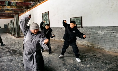 Kung-Fu-Training (2)